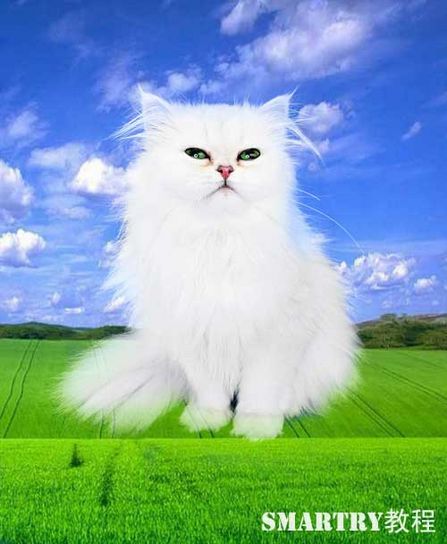 Photoshop抠图完全攻略 Photoshop抠图完全攻略