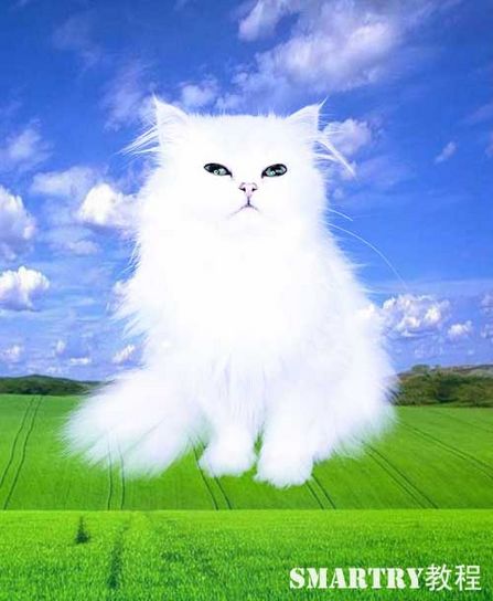 Photoshop抠图完全攻略 Photoshop抠图完全攻略