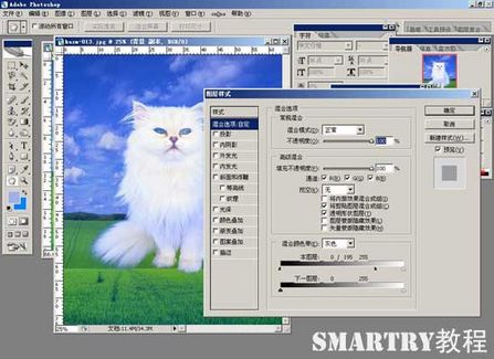 Photoshop抠图完全攻略 Photoshop抠图完全攻略